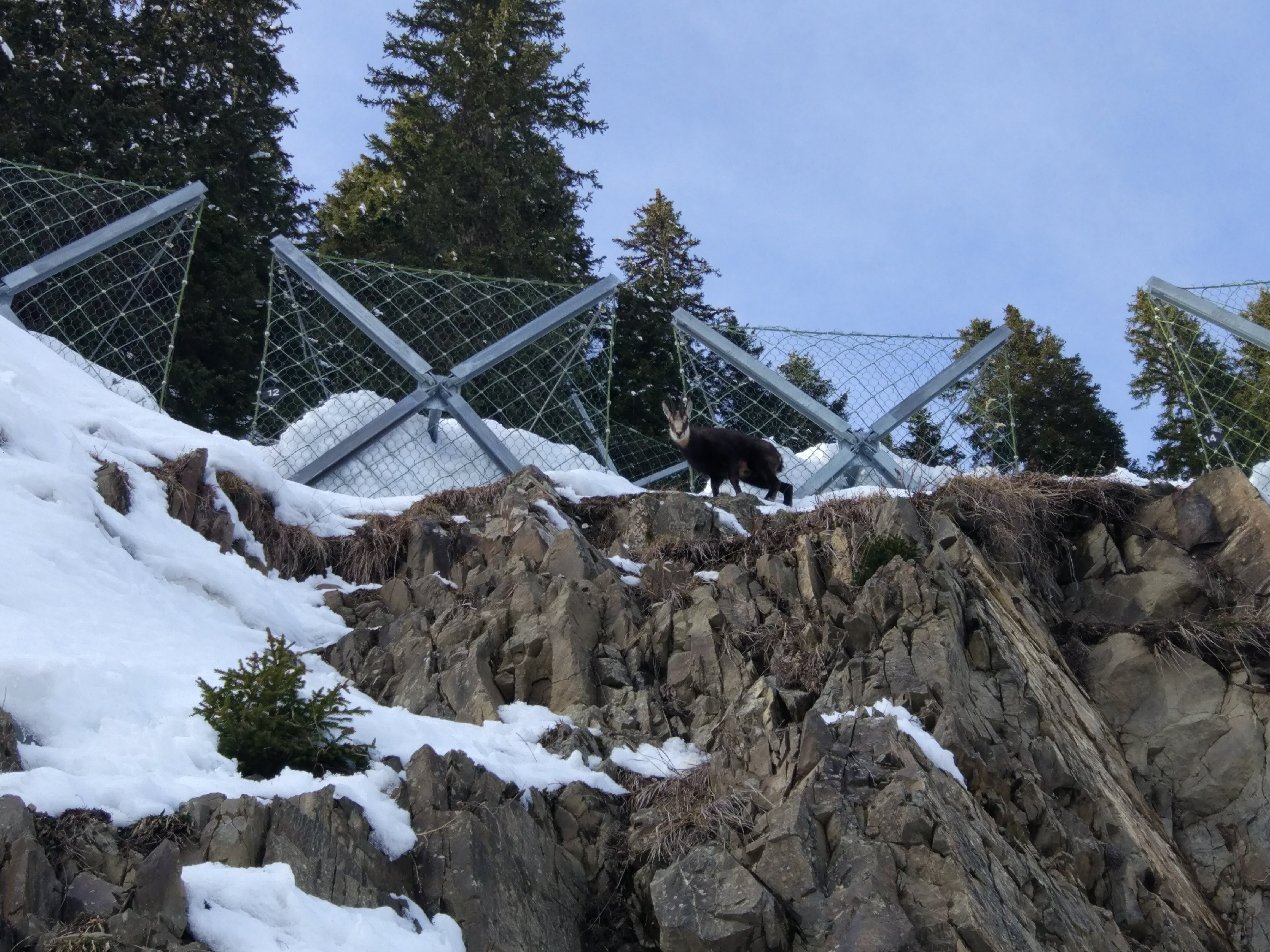 Photo n° 4 de l'avis de Django.o fait le 08/02/2018 à 16:55