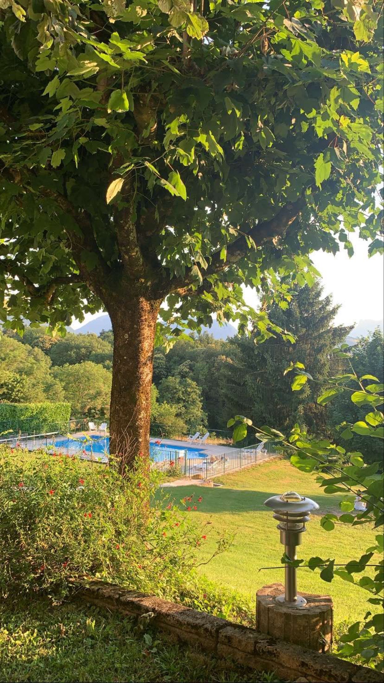 Photo n° 1 de l'avis de Julien. fait le 28/06/2021 à 17:28