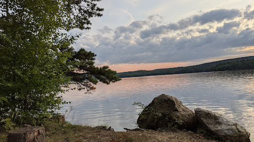 Nepaug State Forest