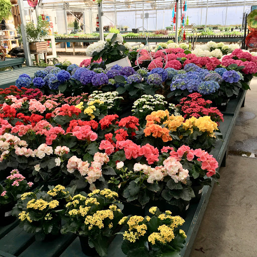 Plant Nursery «Martins Home & Garden», reviews and photos, 1020 NW Broad St, Murfreesboro, TN 37129, USA