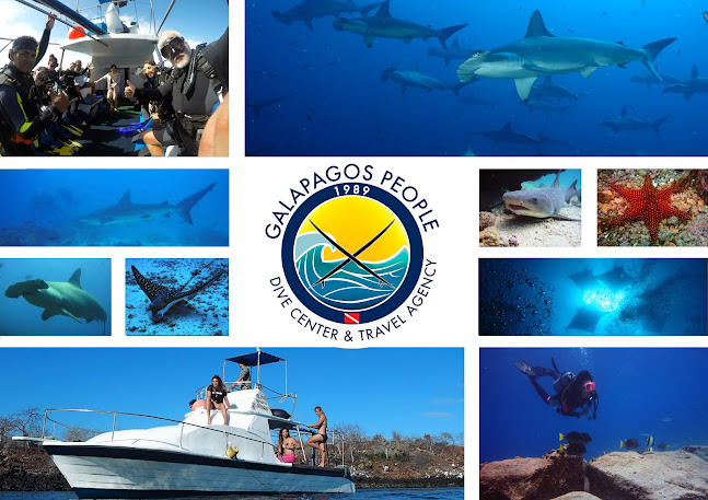 Galapagos People Dive Center - Puerto Ayora