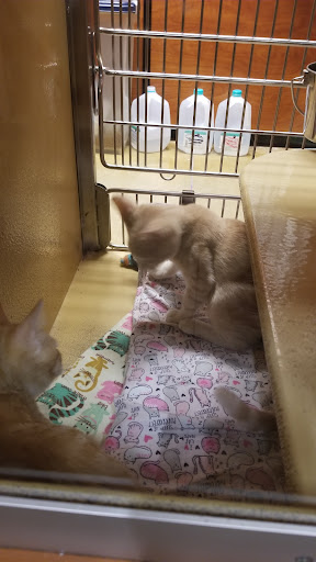 Pet Supply Store «PetSmart», reviews and photos, 1759 Apalachee Pkwy, Tallahassee, FL 32301, USA