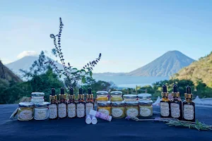Atitlán Herbals image