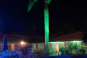 Palm Court Motel image