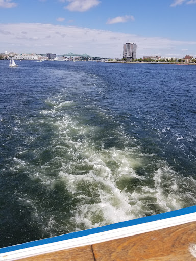 Tourist Attraction «Spirit of Boston», reviews and photos, 200 Seaport Blvd #75, Boston, MA 02210, USA