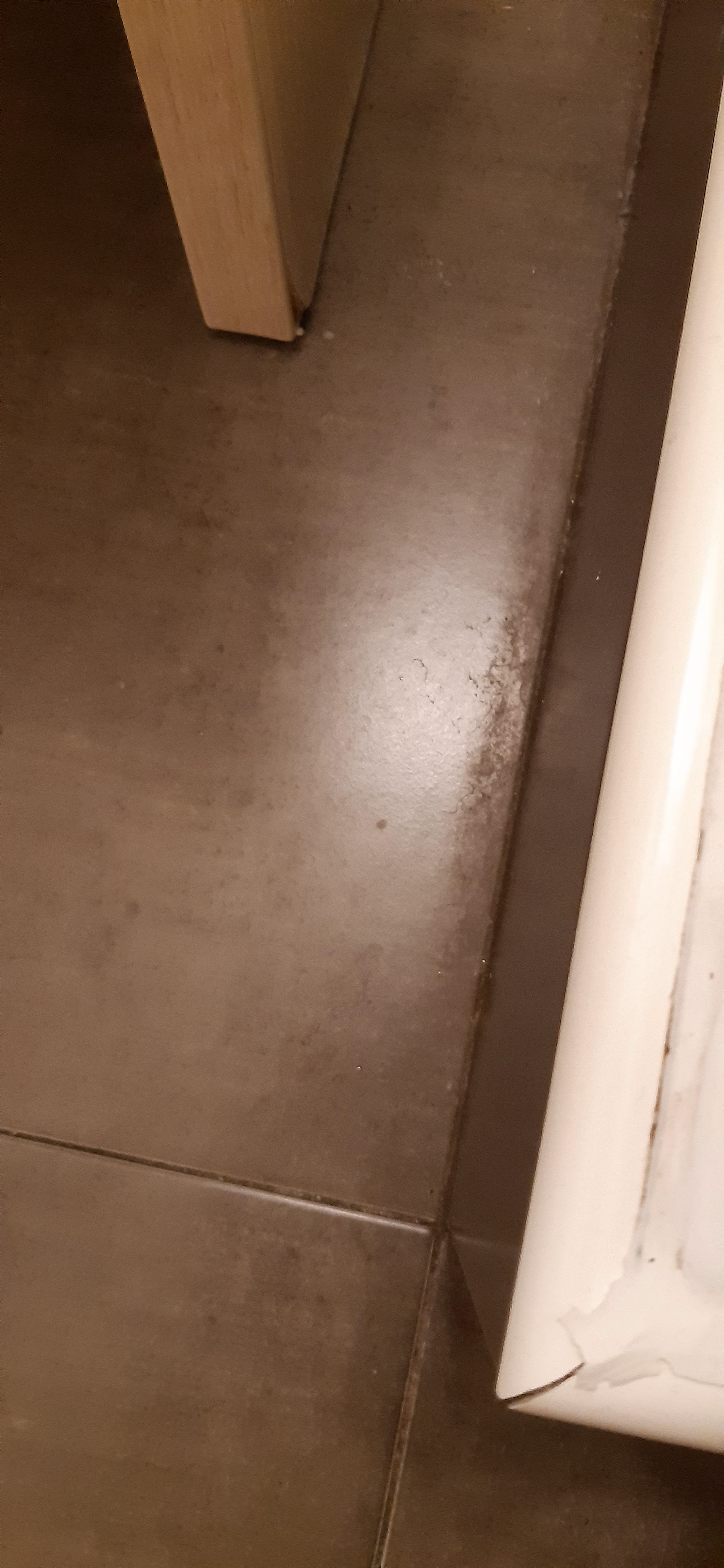 Photo n° 4 de l'avis de francoise.r fait le 20/02/2023 à 12:13