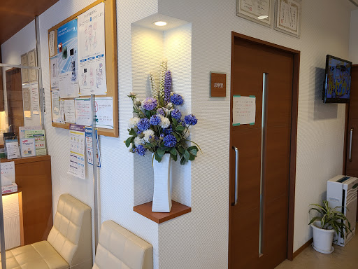 Uchidanaikaicho Clinic