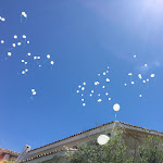 Photo n°1 de l'avis de Simona.e fait le 09/06/2018 à 21:11 sur le  Hotel Pulicinu à Baja Sardinia