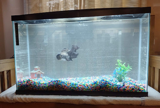 Pet Supply Store «Pet Supplies Plus», reviews and photos, 1816 S Stephenson Ave, Iron Mountain, MI 49801, USA