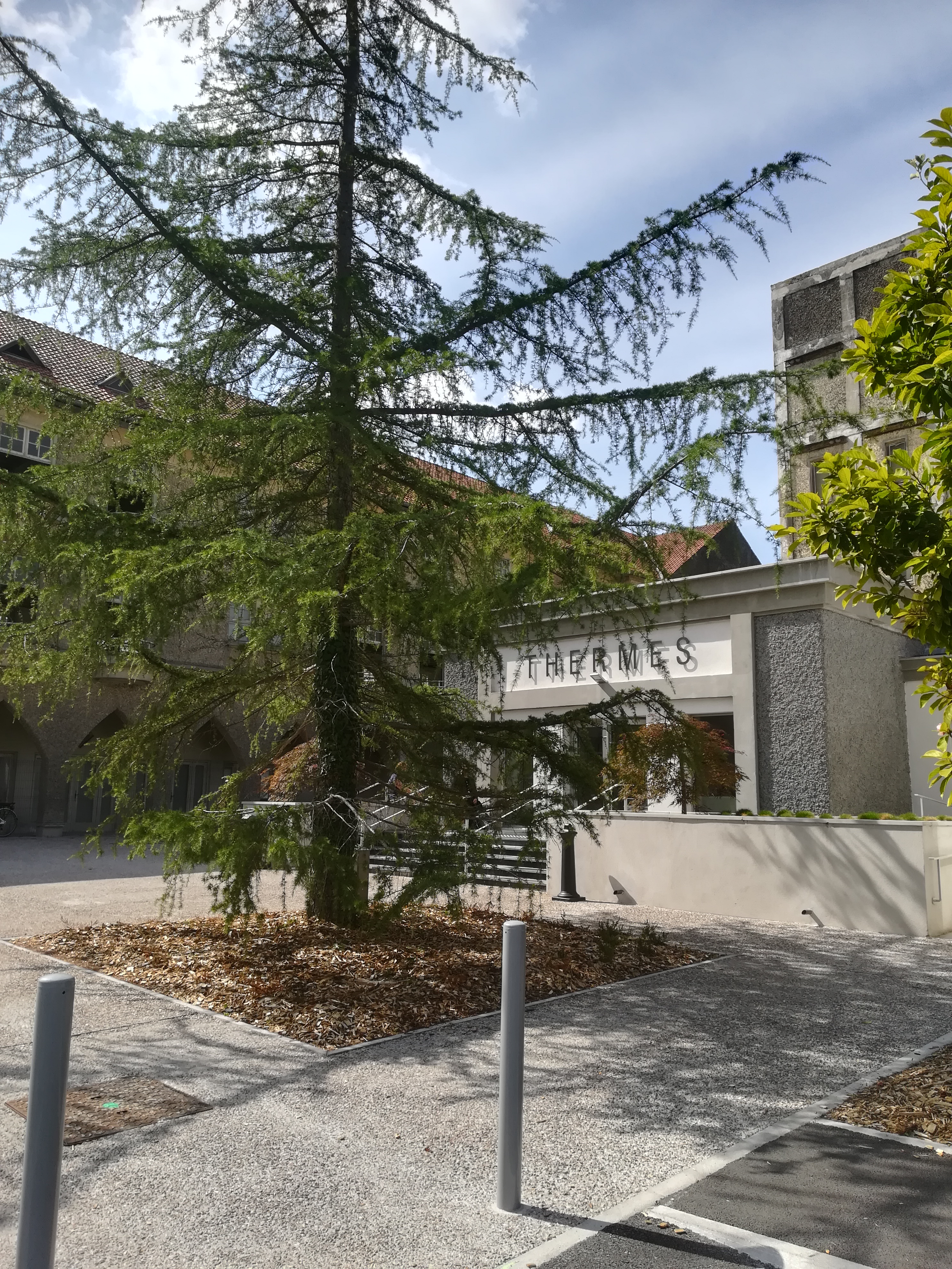 Photo n° 1 de l'avis de Brigitte.O fait le 08/09/2018 à 17:30