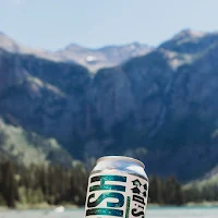 Birdfish Brewing Co. in Columbiana, Ohio - 4.80 star rating