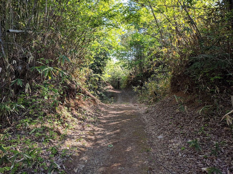 明徳寺城跡