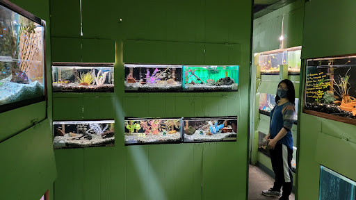 Tropical Fish Store «Fish Den Inc.», reviews and photos, 5055 W 44th Ave, Denver, CO 80212, USA