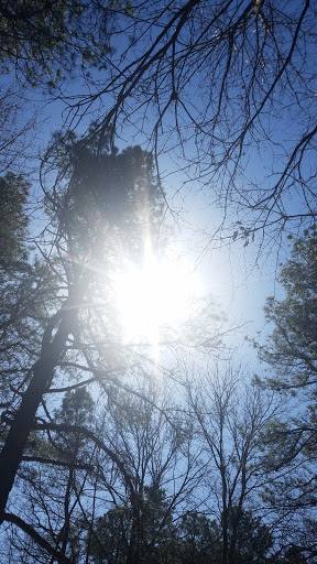 State Park «Cheesequake State Park», reviews and photos, 300 Gordon Rd, Matawan, NJ 07747, USA