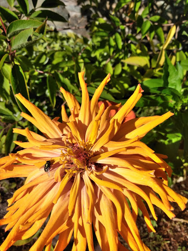 History Museum «SLATER MILL-Historic Site», reviews and photos, 67 Roosevelt Ave, Pawtucket, RI 02860, USA