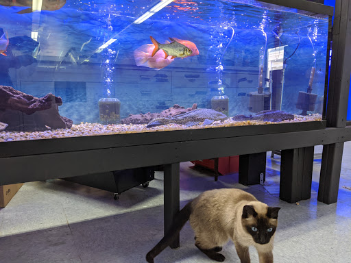 Tropical Fish Store «Lovely Pets Aquarium Store», reviews and photos, 69 Parkingway, Quincy, MA 02169, USA