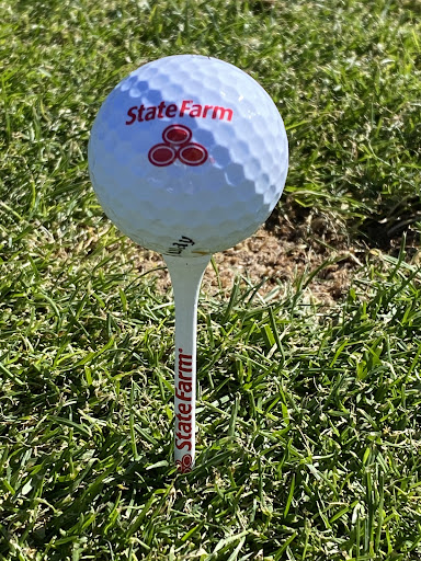 Insurance Agency «Michelle Rudolph», reviews and photos