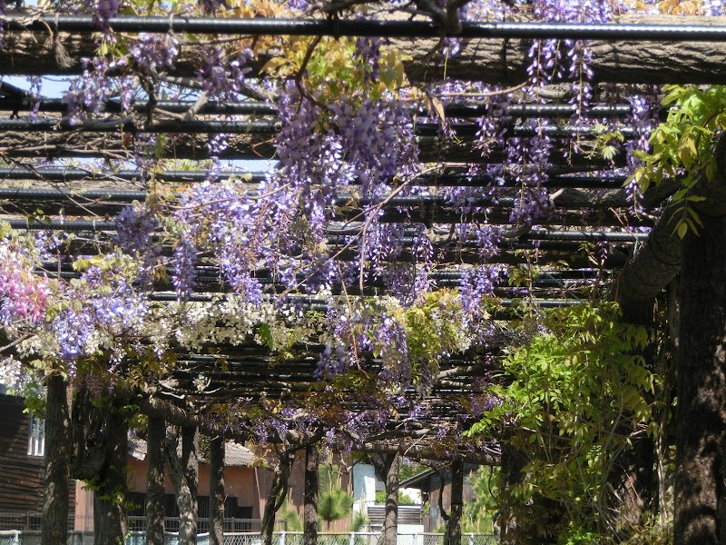 渋川公園 岡山県玉野市渋川 公園 公園 グルコミ