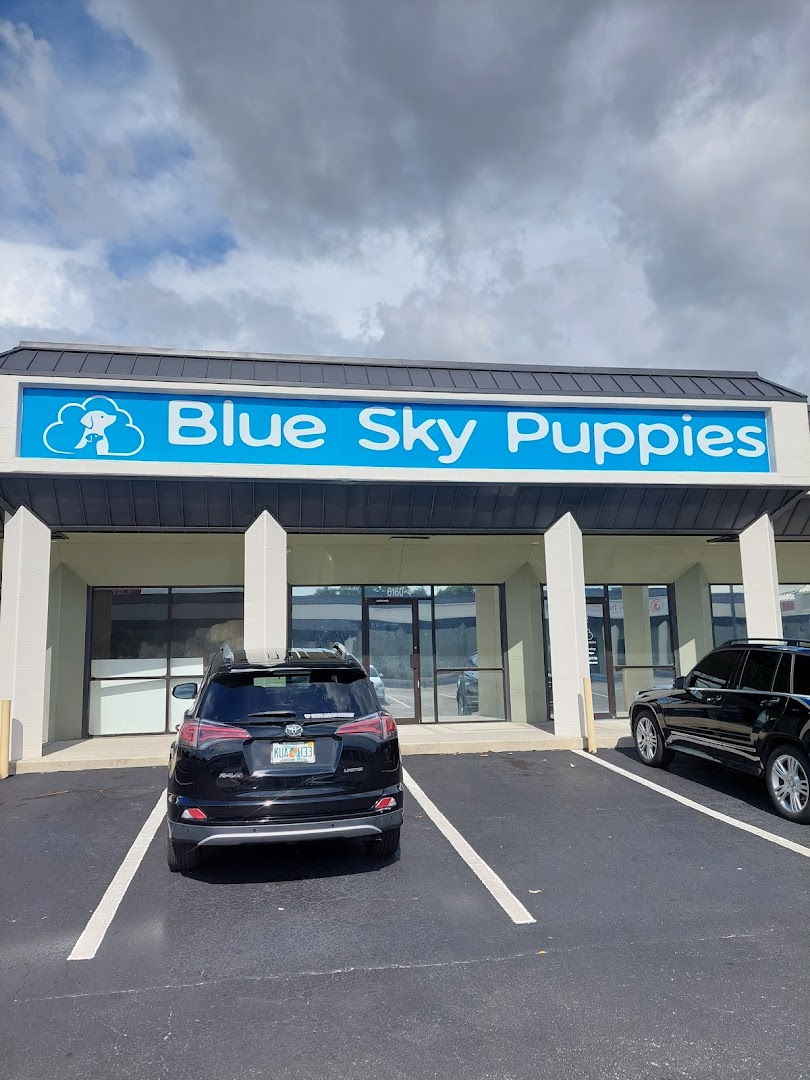 Blue Sky Puppies Tampa Bay