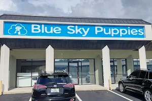 Blue Sky Puppies Tampa Bay image