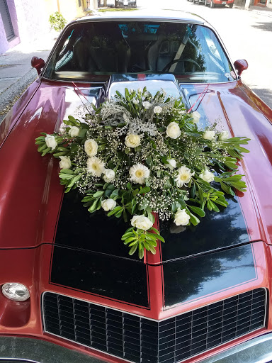 Florería Magnolia – Santiago de Querétaro