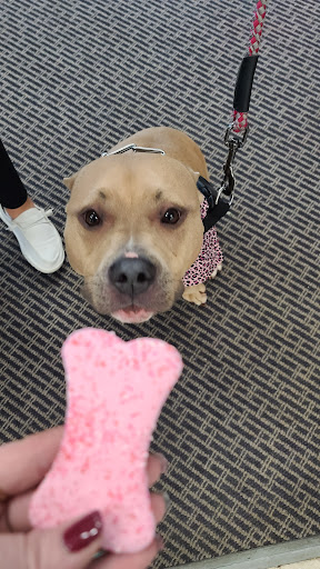 Shopping Mall «Hampton Plaza Shopping Center», reviews and photos, 4033 W Mercury Blvd, Hampton, VA 23666, USA