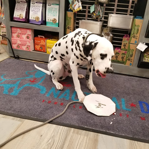 Gift Shop «Nautical Dog LLC», reviews and photos, 5104 Main St, Williamsburg, VA 23188, USA