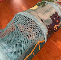 Laura the Pet Nanny - Photo 7 - Car repair in , Deltona