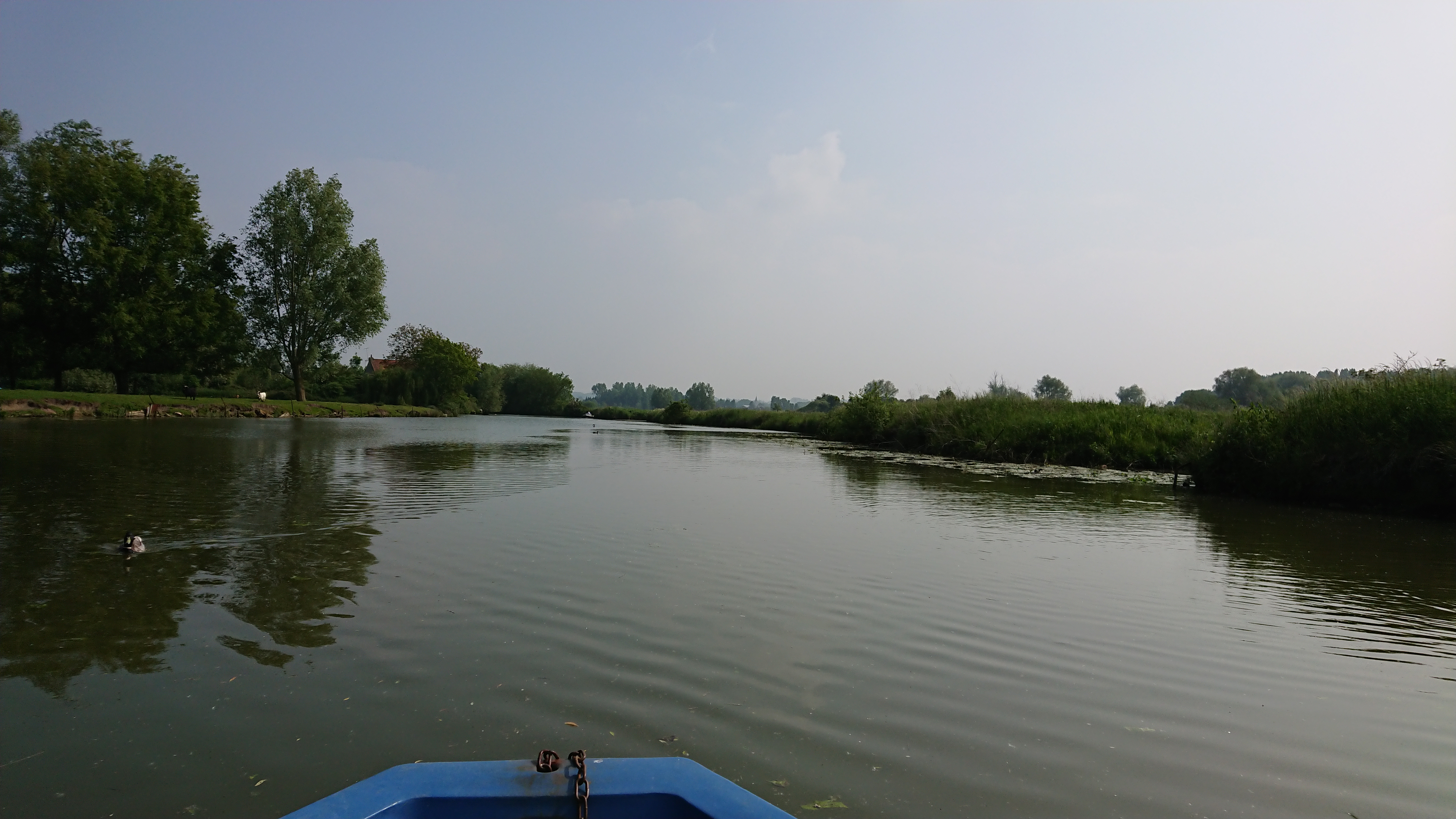 Photo n° 41 de l'avis de Perso.e fait le 20/05/2018 à 16:43