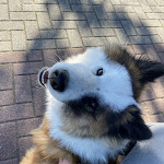 Photo n°5 de l'avis de Carmem.y fait le 05/06/2022 à 20:35 sur le  Restaurant Krüsch à Wangerooge