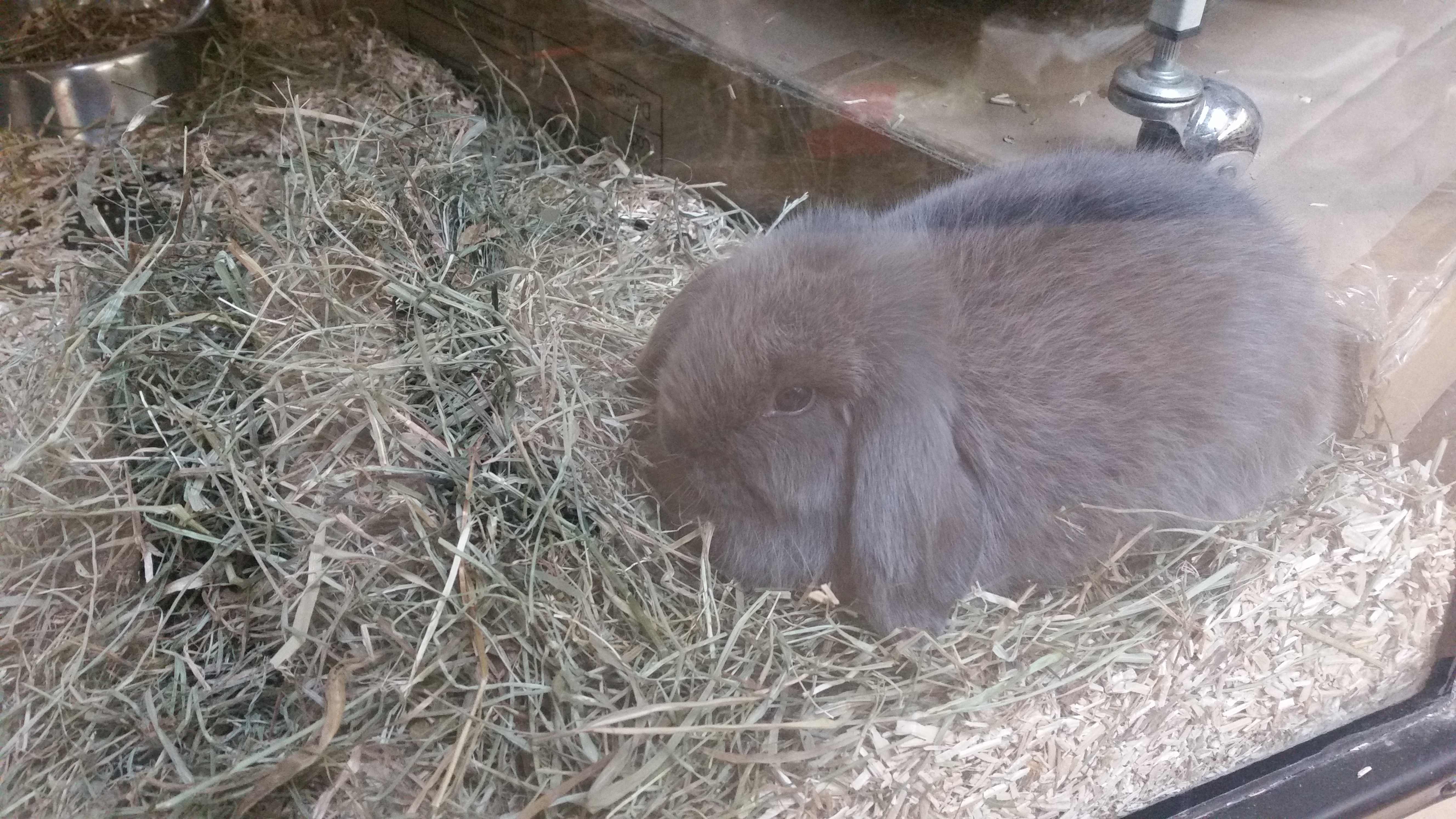 Photo n° 3 de l'avis de Mathilda. fait le 22/04/2017 à 15:15