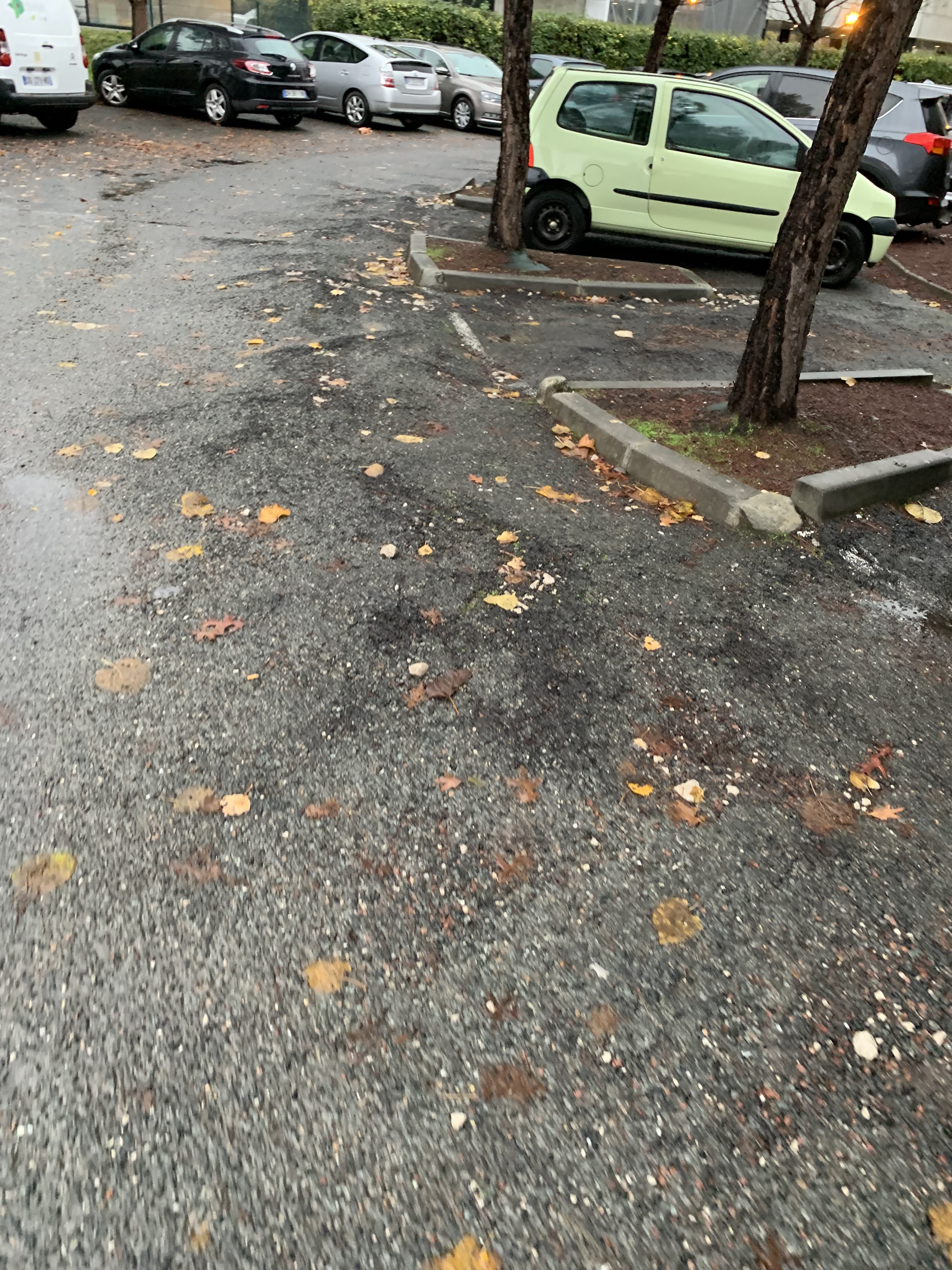 Photo n° 6 de l'avis de Lionel. fait le 02/12/2018 à 16:43