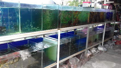 Aza Aquarium Parts & Trading Bandar Baru Bangi