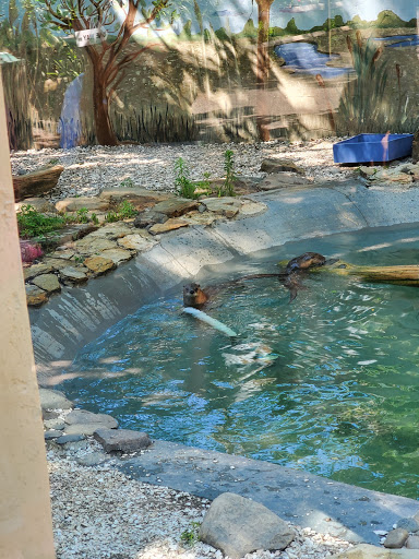 Tourist Attraction «Tree To Tree Cape May», reviews and photos, 707 U.S. 9, Cape May Court House, NJ 08210, USA
