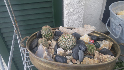 Donut Shop «Best Donuts In Town», reviews and photos, 2080 Mill St, Reno, NV 89502, USA