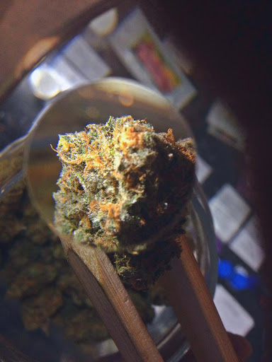 Cannabis store «Chronic Therapy», reviews and photos, 10030 W 27th Ave, Wheat Ridge, CO 80215, USA