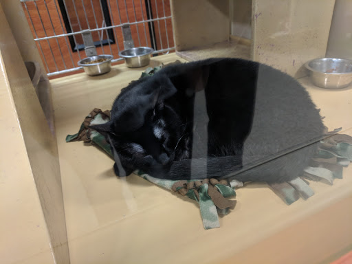 Pet Supply Store «PetSmart», reviews and photos, 5001 Sergeant Rd, Sioux City, IA 51106, USA