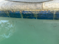 Swimming Pool Services - Photo 7 - Car repair in Birmingham, AL, Birmingham