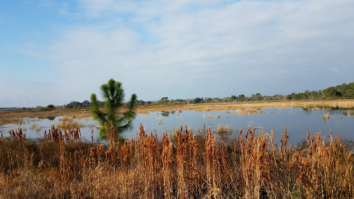 Nature Preserve «Conner Preserve», reviews and photos, 22500 FL-52, Land O Lakes, FL 34637, USA