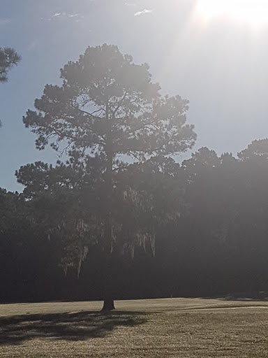 Golf Course «Golf Trails of the Woodlands», reviews and photos, 2311 N Millbend Dr, The Woodlands, TX 77380, USA