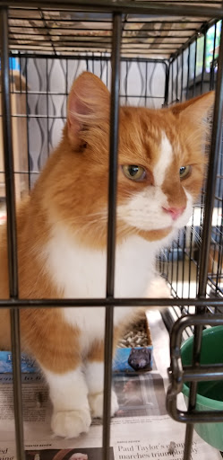 Pet Supply Store «PetSmart», reviews and photos, 12971 Fair Lakes Pkwy, Fairfax, VA 22033, USA