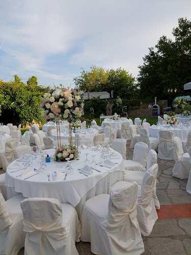 Κτήμα Kiwi Garden