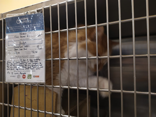 Pet Supply Store «PetSmart», reviews and photos, 533 S Tracy St, Wichita, KS 67209, USA