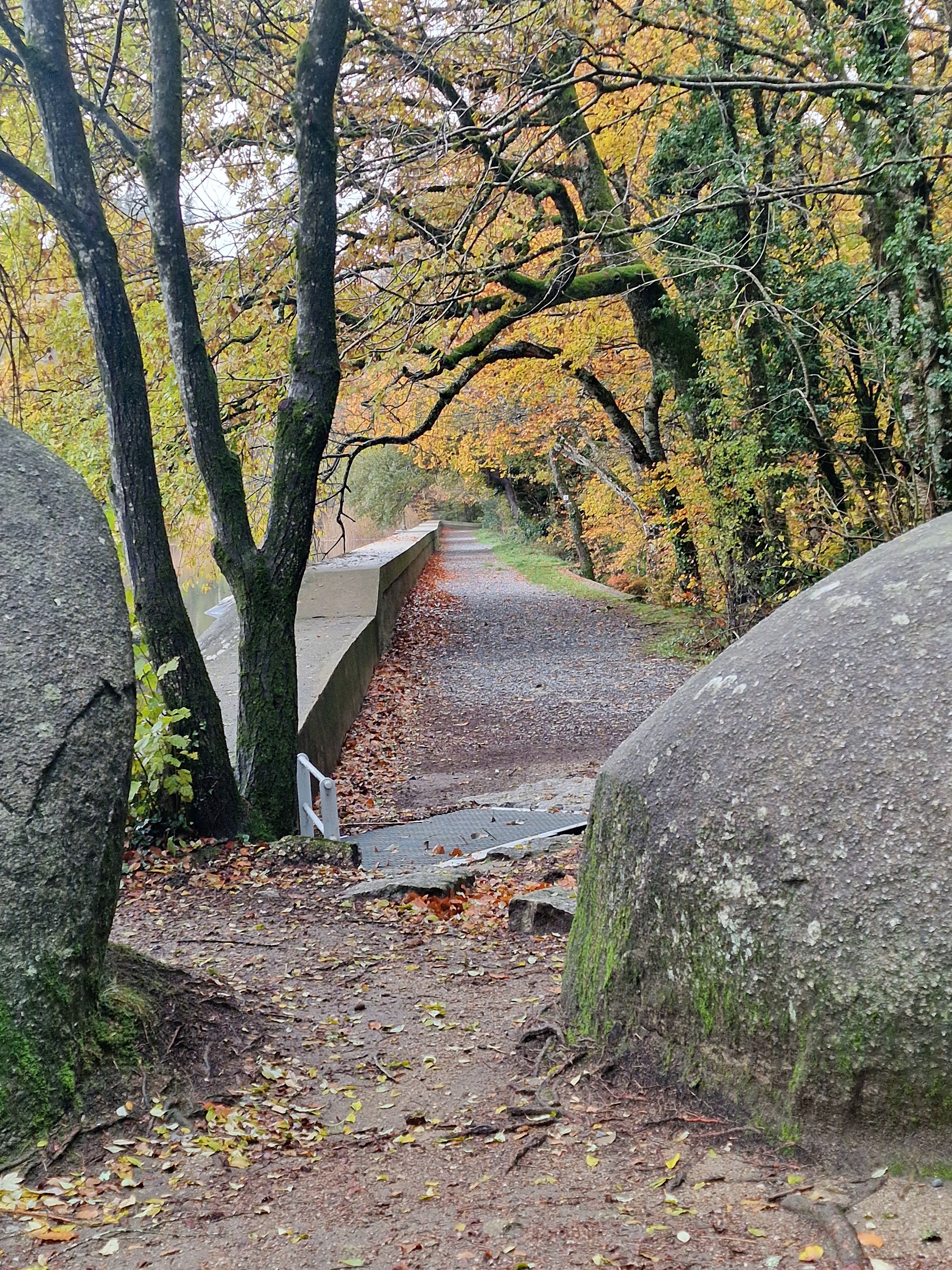 Photo n° 15 de l'avis de Laurence.a fait le 11/12/2022 à 00:44