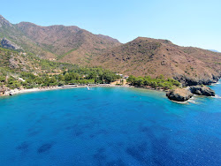 Red Bend beach'in fotoğrafı ve yerleşim