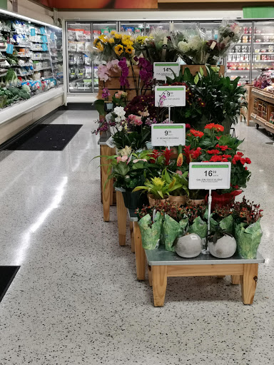 Supermarket «Publix Super Market at Perimeter», reviews and photos, 1100 Hammond Dr NE #300, Sandy Springs, GA 30328, USA