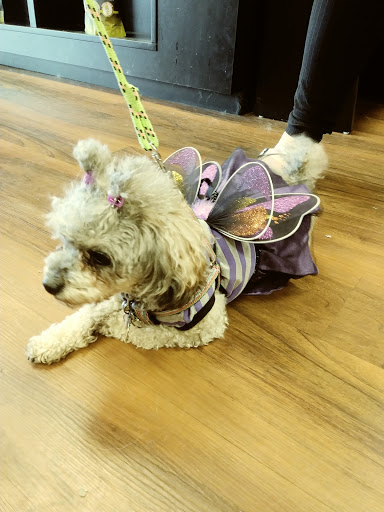 Pet Supply Store «Pet Valu», reviews and photos, 6220 Wilmington Pike D, Sugarcreek Township, OH 45459, USA