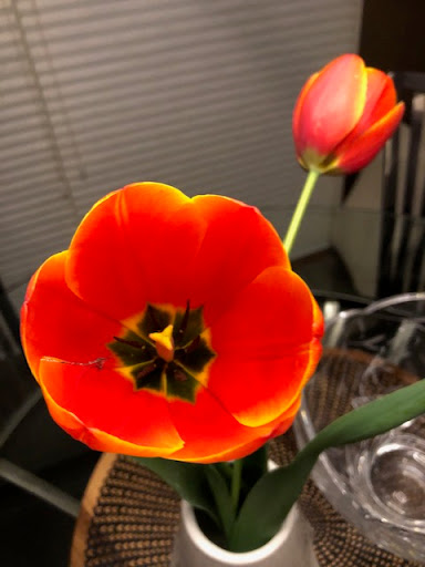 Roofing Contractor «Roof-Rite, Inc.», reviews and photos, 1036 Benstein Rd, Walled Lake, MI 48390, USA