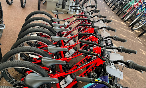 Bicycle Store «Al Petri & Sons Bicycle Center», reviews and photos, 2160 Fort St, Lincoln Park, MI 48146, USA