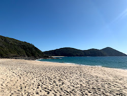 Foto von Shelly Beach mit sehr sauber Sauberkeitsgrad